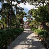 ...ci introduce al silenzioso viale che porta all�antica residenza...